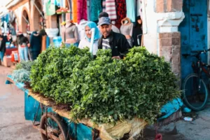 Lire la suite à propos de l’article Quel commerce ouvrir avec un petit budget au Maroc (10000 dh) ?